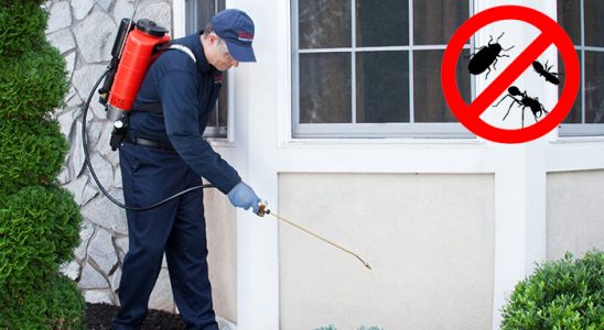 Gemerek Gümüşkurt İlaçlama böcek ilaçlama ve haşere kontrolü — ilaclama-tr.com